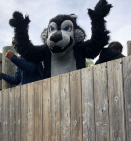 Wolf mascot standing above wooden wall