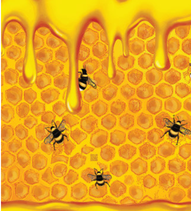image of honeycomb with dripping honey and bees