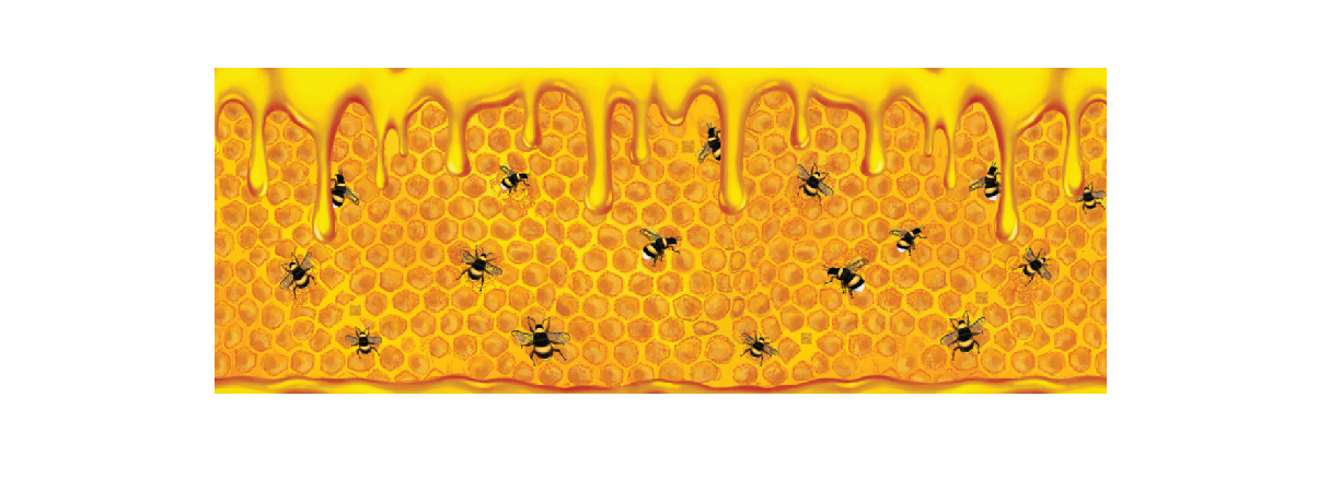 yellow honeycomb with dripping honey at the top. Image is covered in bees