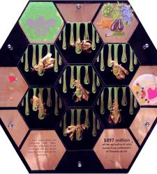 A multimedia interactive artwork shaped like a honeycomb to support the Markham Museum's education programs.