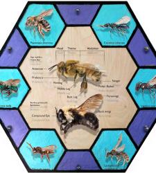 A multimedia interactive artwork shaped like a honeycomb designed to support the Markham Museum's education programs.